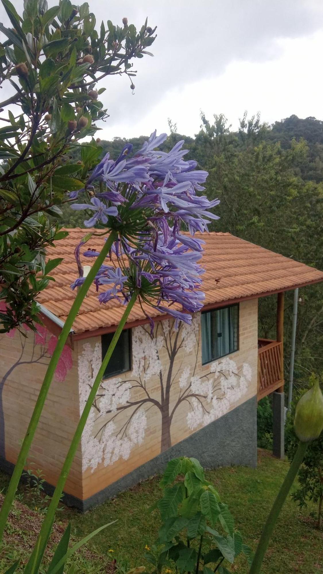 Sonho Na Serra Chale 1 Lodge Goncalves