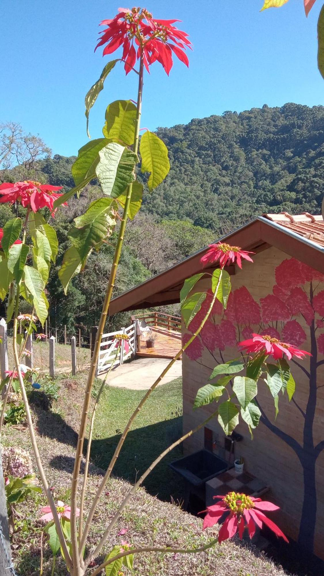 Lodge Sonho Na Serra Chale 1 Goncalves