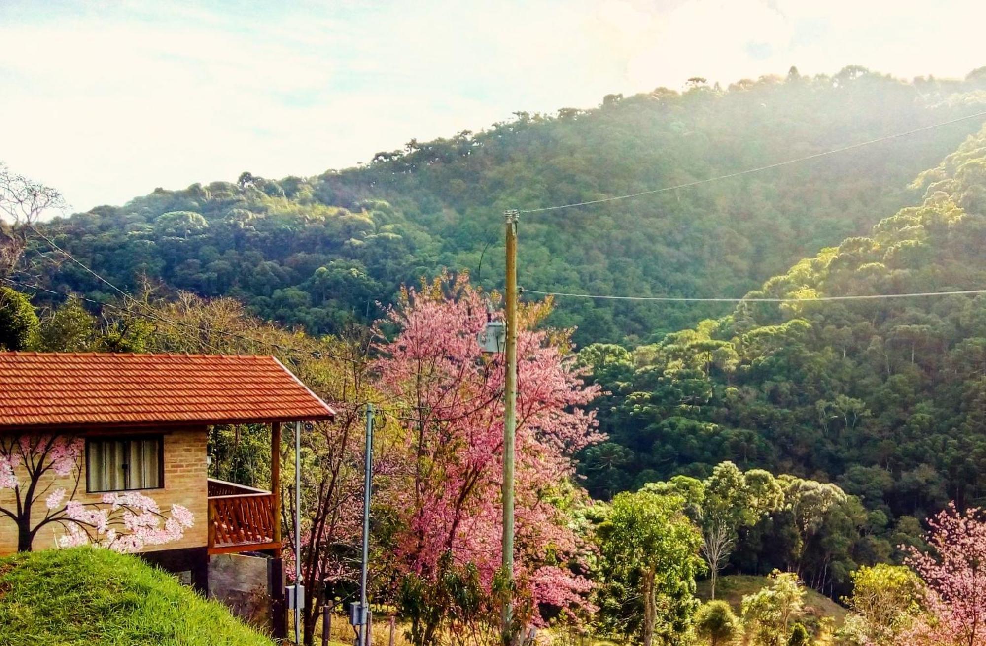 Sonho Na Serra Chale 1